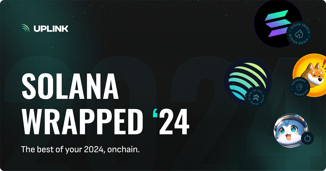 Solana Wrapped '24 showcase 16